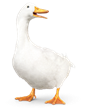 Aflac Banner